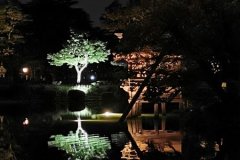 IMG_20191102_185414