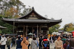 IMG_20191103_131515