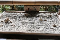 IMG_20191103_135446
