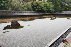 IMG_20191103_135819