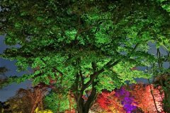 IMG_20191103_195344