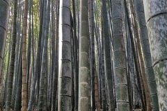 IMG_20191104_083732