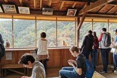 IMG_20191104_102436