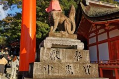 IMG_20191104_154325
