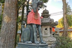 IMG_20191104_161956