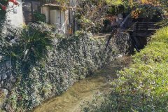 IMG_20191105_104527