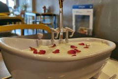 IMG_20191105_145616