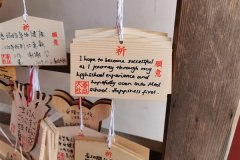 IMG_20191106_143426