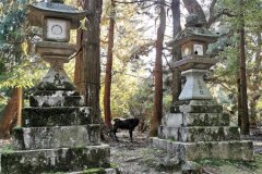 IMG_20191106_144631