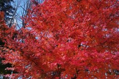IMG_20191108_105938