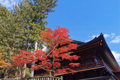 IMG_20191108_120423