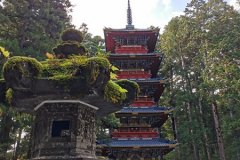 IMG_20191108_120728