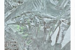 20180210_132647