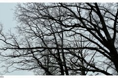 20180210_135453