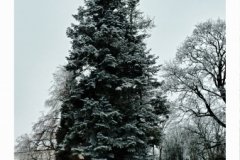 20180210_140139