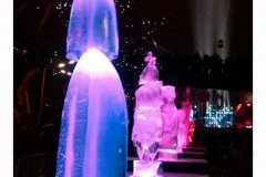 DSC06609