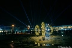 DSC04595