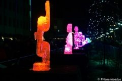 DSC04620