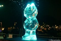 DSC04627