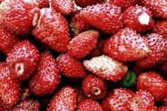 Žemuogės