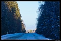 DSC04290