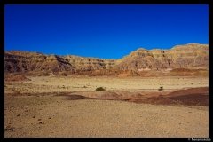 DSC03504