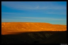 DSC03657