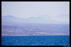 DSC03768