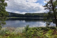 20170815_143101_HDR