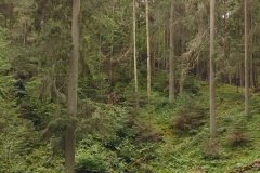 20170815_144633