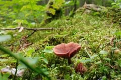 20170815_145225