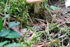 20170815_150114