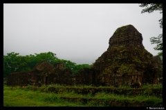 DSC07331-1