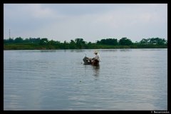 DSC07427