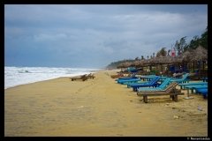 DSC07558