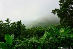 DSC07740