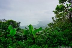 DSC07746