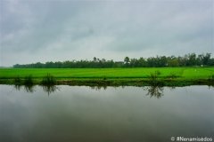 DSC07844