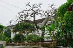 DSC07878