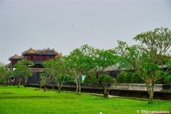 DSC07915