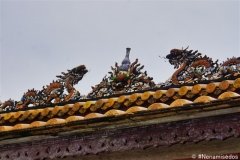 DSC07937