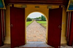 DSC07960