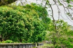 DSC08007