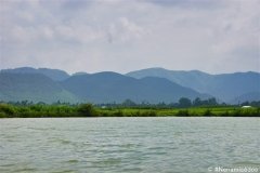 DSC08198