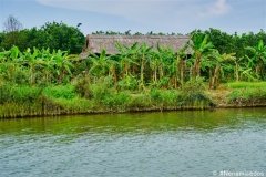 DSC08226