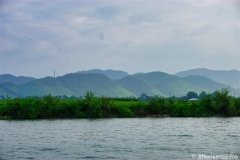 DSC08334