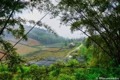 DSC08425