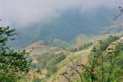 DSC08440