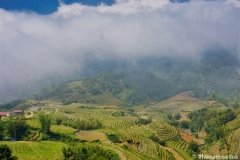 DSC08444
