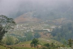 DSC08451